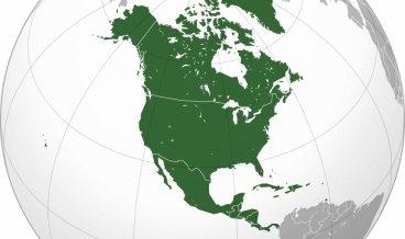 International Sales